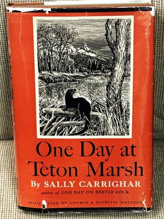 One Day at Teton Marsh
