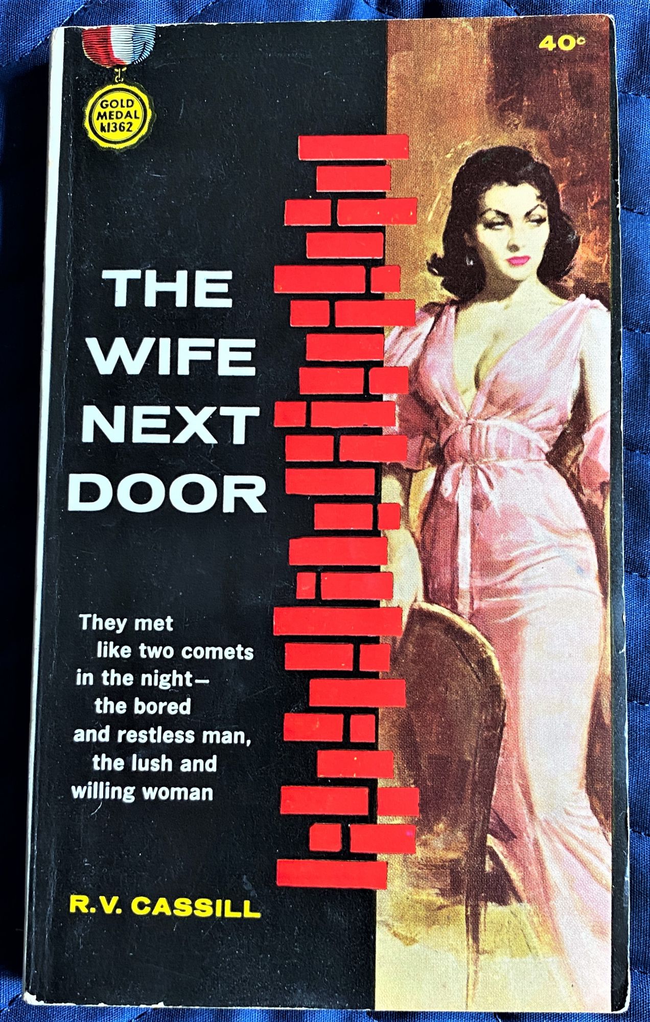 The Wife Next Door by R V. Cassill on My Book Heaven