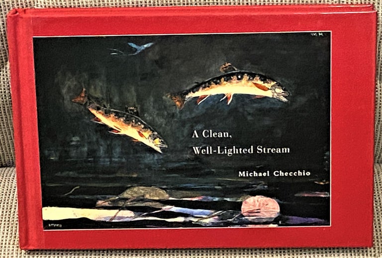 Item #62866 A Clean, Well-Lighted Stream. Michael Checchio.