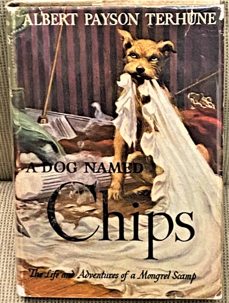 Item #67540 A Dog Named Chips, The Life and Adventures of a Mongrel Scamp. Albert Payson Terhune.
