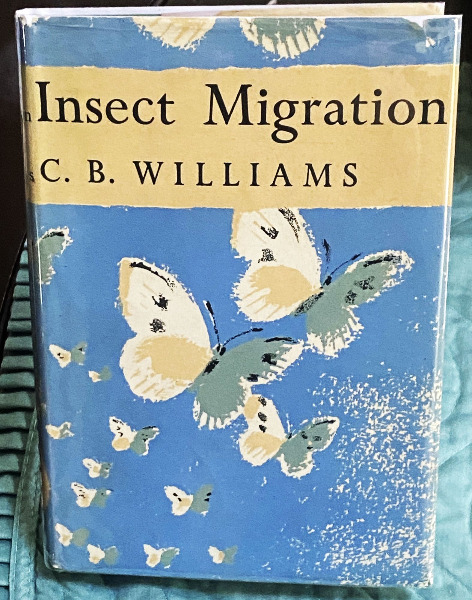 Insect Migration | C B. Williams