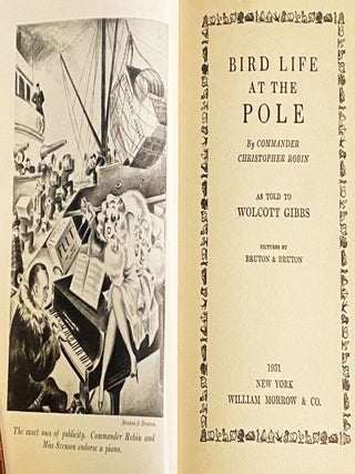 Bird Life at the Pole