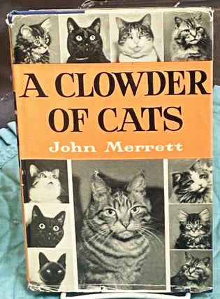 Item #76726 A Clowder of Cats. John Merrett