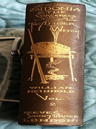 Sidonia the Sorceress: The Supposed Destroyer of the Whole Reigning Ducal House of Pomerania / Mary Schweidler The Amber Witch, Volume 2 only