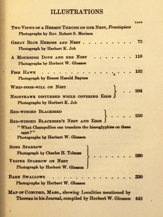Notes on New England Birds