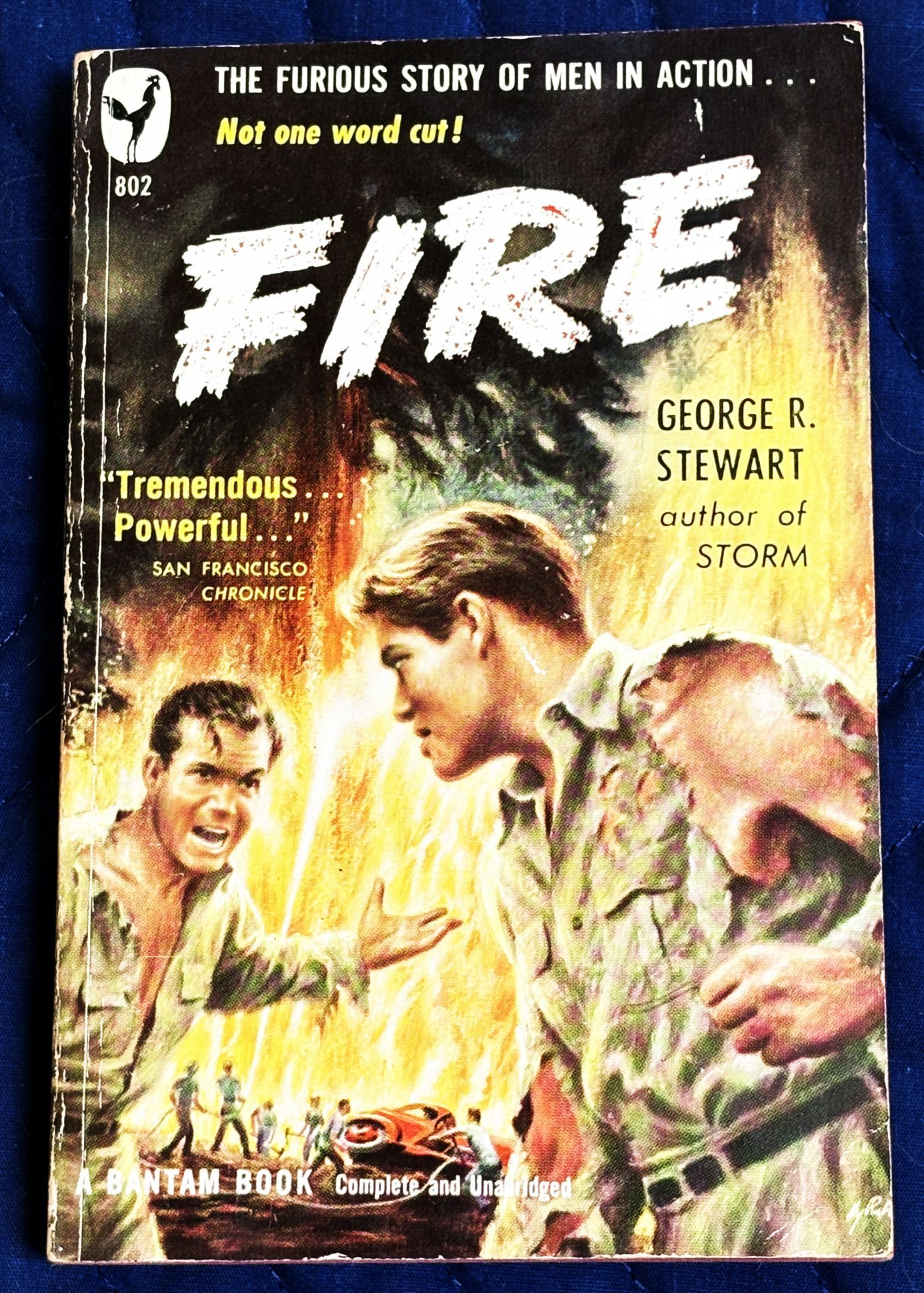 Fire | George R. Stewart